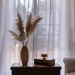 Annaro فيلة بلفيديري
